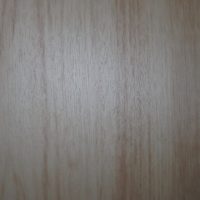 Яблоня Светлая 22-1, пленка СС 8022-1
